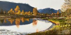  Between the Alouette Dikes 