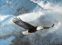  Soaring 