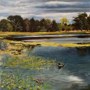  Ducks in the Lake 