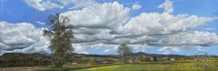  Passing Cumulus Clouds 